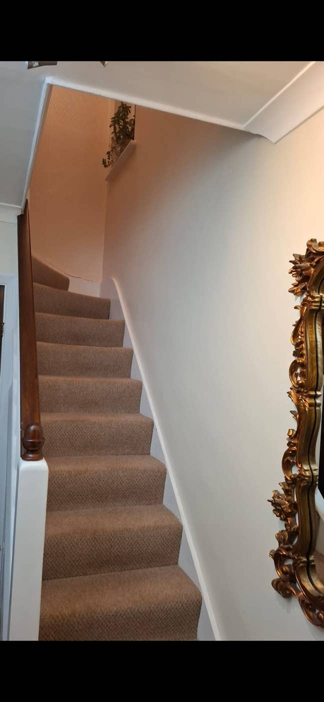 Single room in clean and well maintained house Main Photo