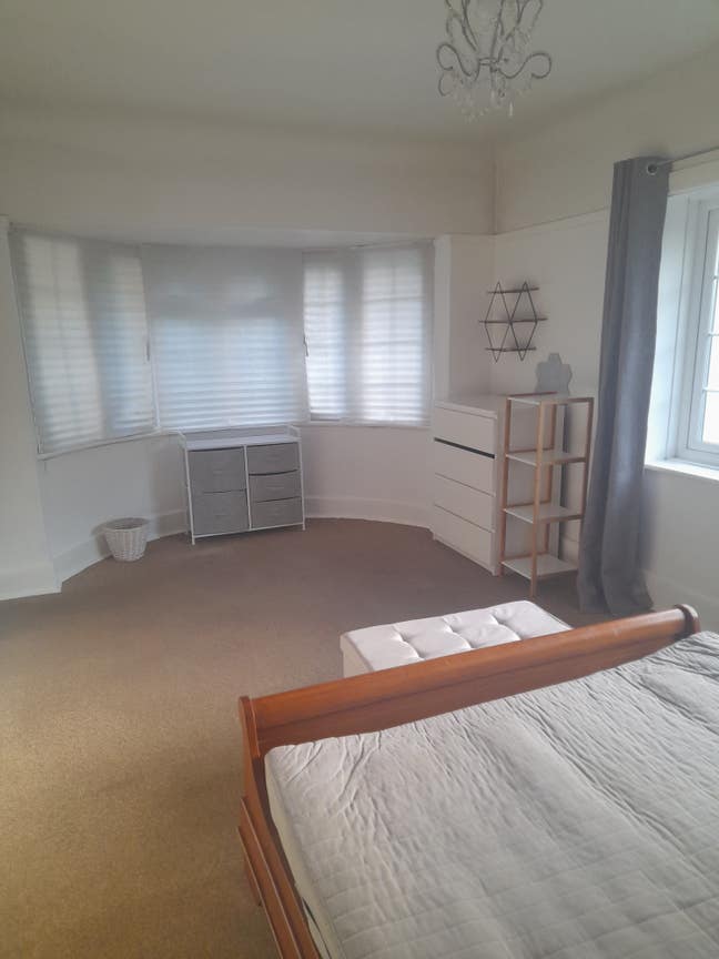 Large room available in Central Westbourne flat Main Photo