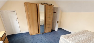 Spacious Double Room in Friendly Well-Located Home Main Photo