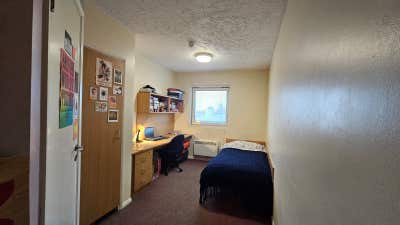 Ensuite room for Postgraduate student Main Photo