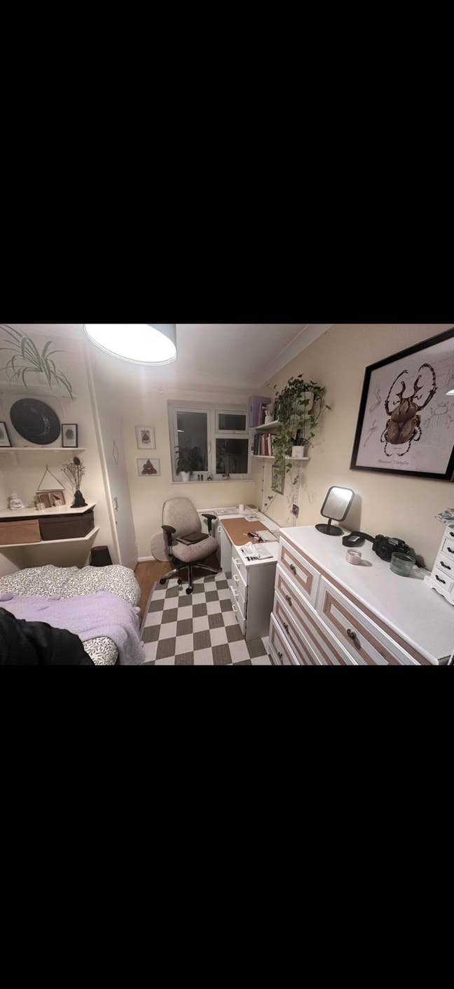 Single room CO4 3UJ, avail 1st June, &pound;285pcm Main Photo