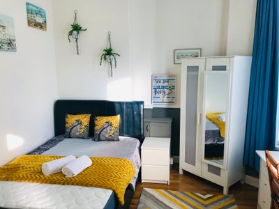 💥Large  Room For Rent in Belfast Close to C/C💥 Main Photo