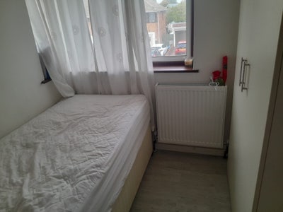 Single Room available Main Photo