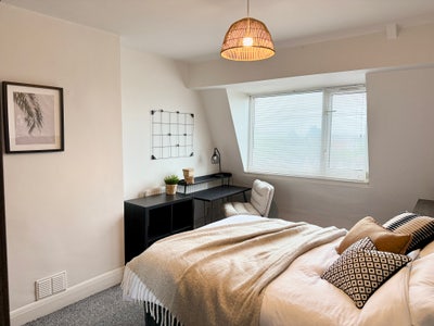 Friendly Professional Rooms - Off Fabian Way Main Photo