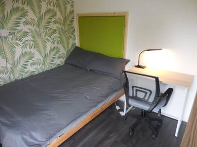  Furnished Studio Burgess Hill near Amex/CAE Main Photo