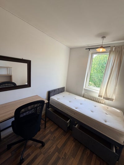 Single Room in sunny flat and friendly roommates❤️ Main Photo