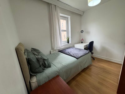 Amazing Offer Now ⭐ Move to Best Area Main Photo
