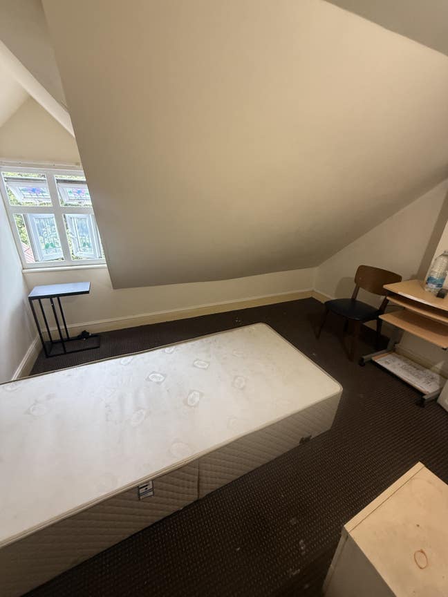 Single room for rent  Main Photo