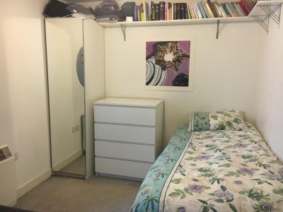 Single Room in Luxury Flat Main Photo