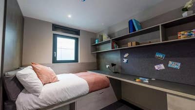 London Zone 1 summer room available (bills incl.) Main Photo