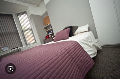 Rooms available in student house Main Photo