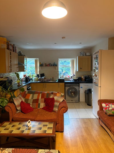 Veggie/Vegan Flatshare in a Lovely, Peaceful Area Main Photo