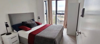Comfortable Room En-Suite in Greenwich SE10  Main Photo