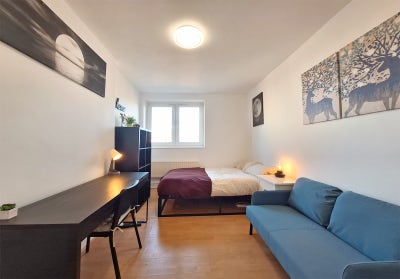 Large & Small Doubles in the Heart Bethnal Green  Main Photo