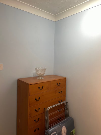 Single room for rent Main Photo