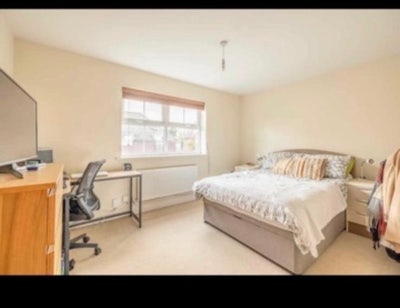 Single room furnished for rent . Main Photo