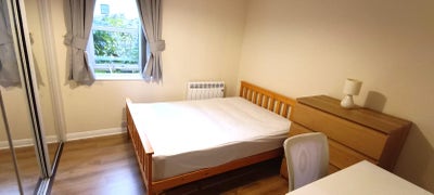 Double Room in 2-Bed Flat (Newington) Main Photo