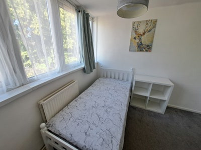 🚆 Double Room Oval 🌟 Available Now Main Photo