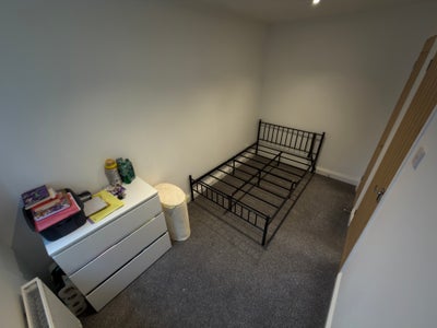 Newly Renovated & Spacious – 2 Rooms Available Main Photo