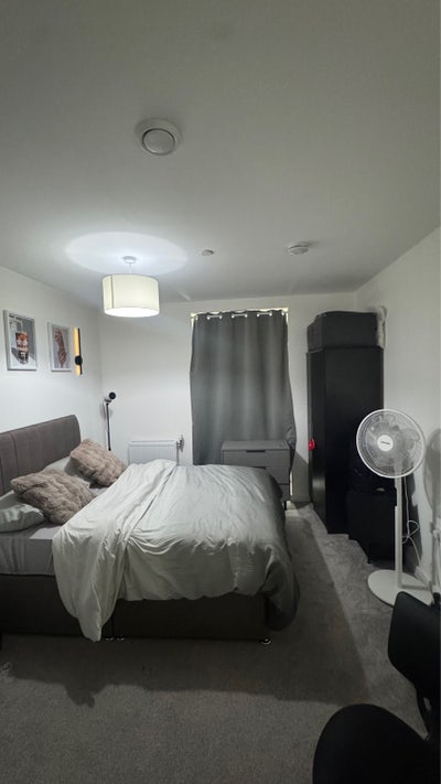 Flatmate needed Main Photo