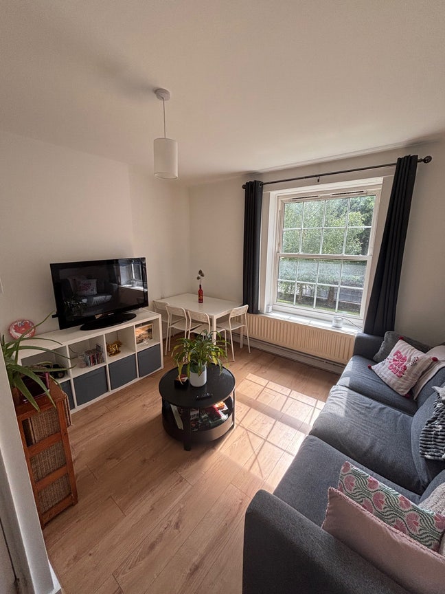 Housemate wanted in central London✨  Main Photo
