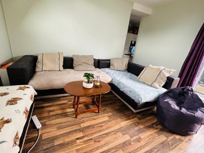Comfortable shared room available for single perso Main Photo