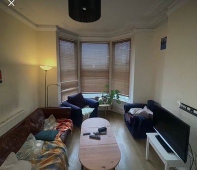 Large Double Room in Shared Girls’ House  Main Photo