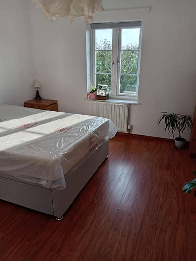 Double room for female  Main Photo