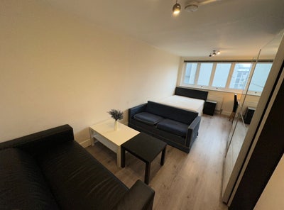 🌕 ROOM in modern 5bed, 2 baths - NOW! 🌕 Main Photo