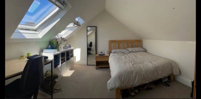 House Share in Jericho Main Photo