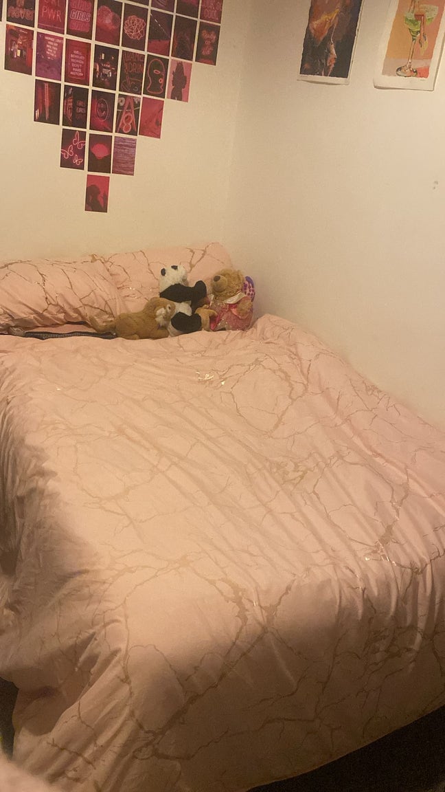 Looking for 2 students to live with from Aug! Main Photo