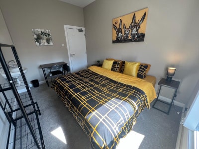 New Fully Furnished Rooms in University Quarter Main Photo