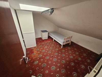 Cosy single room great location!  Main Photo