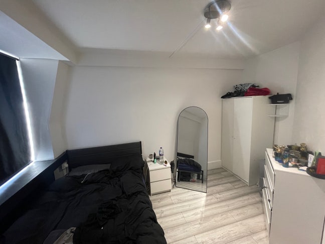 Double sized room in Mile End Main Photo