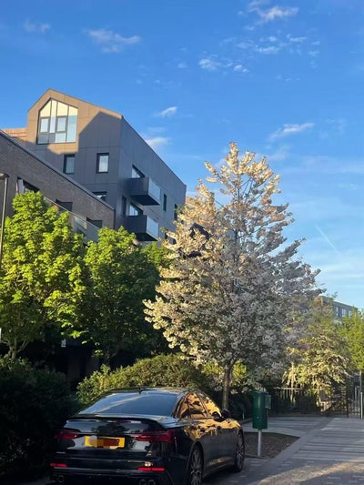 Ensuite in Modern Flat | 2mins walk Victoria Line Main Photo
