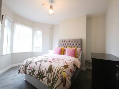 Modern, contemporary co-living Bloomfield Ave Main Photo