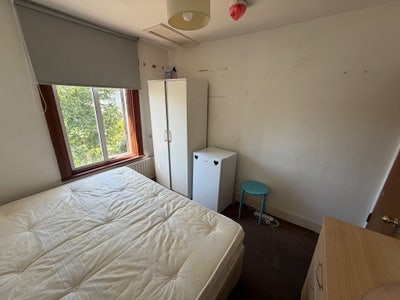 Two rooms free in big house  Main Photo