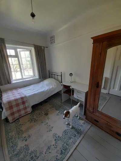 Large room available in Central Westbourne flat Main Photo