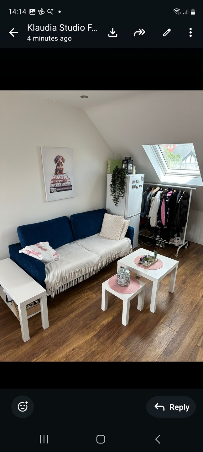 Immaculate the Studio Flat Main Photo