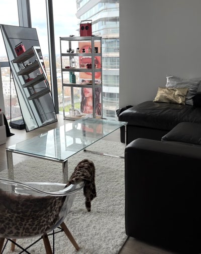 London_Angel 2B ｜ Looking for a female flatmate ✶ Main Photo