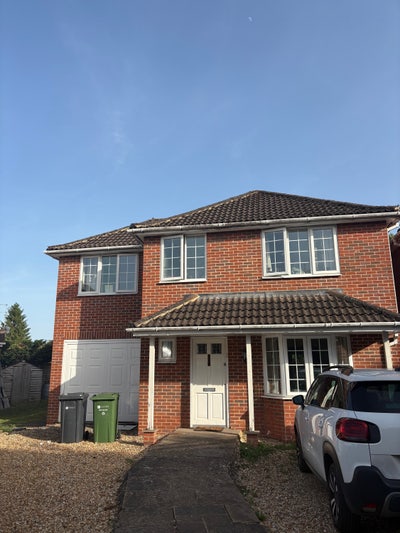 Room for Rent in 4 Bed House Main Photo