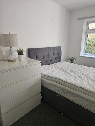 Double Room Available  Main Photo
