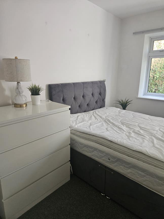Double Room Available  Main Photo