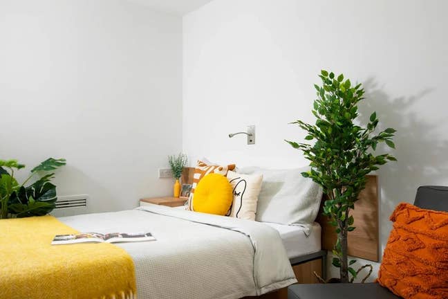 Studio Available - Charlton Court (Unite Students) Main Photo
