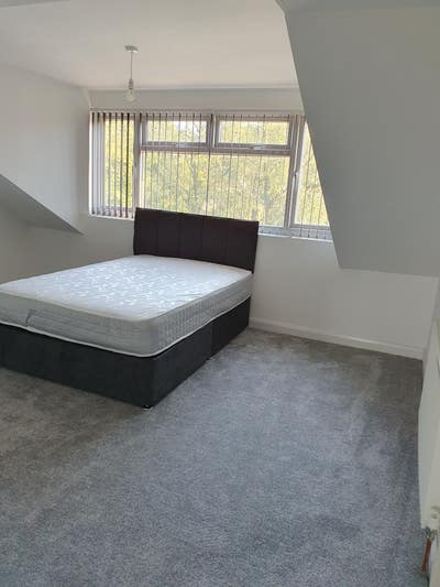 Large Bedroom Now Available BD7 All Billsinclusive Main Photo