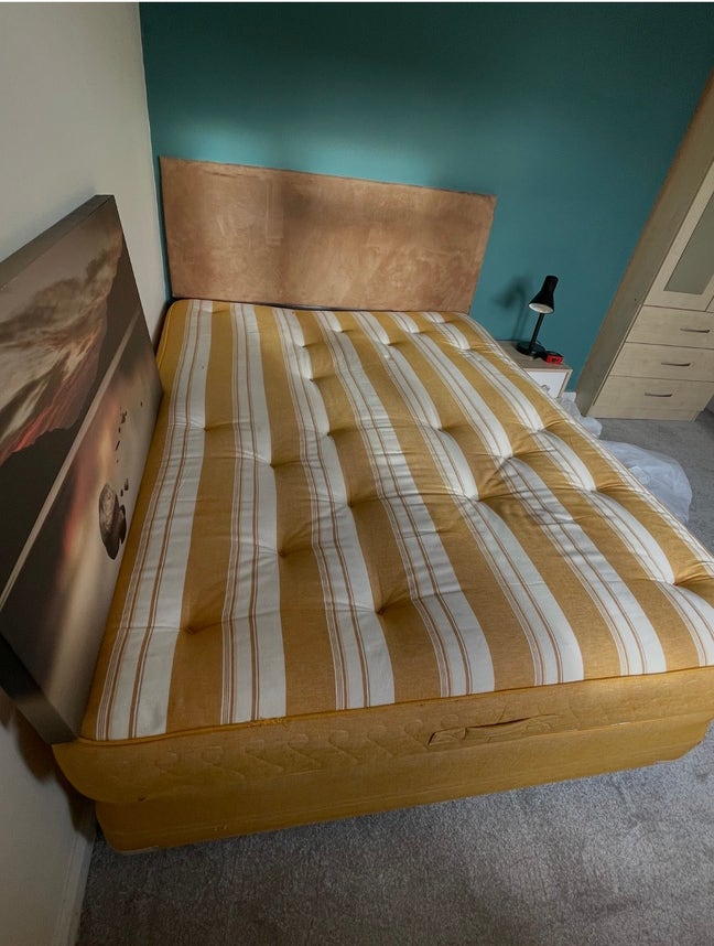 Lovely single room available Main Photo