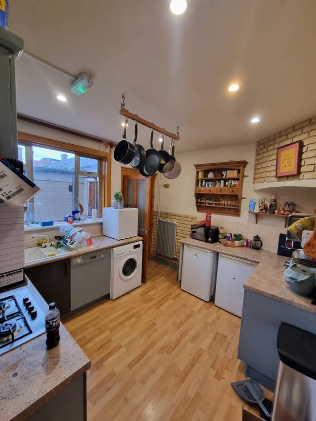 New house mate wanted!! Main Photo