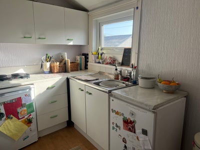 Flat share in New Brighton with valerie and cookie Main Photo
