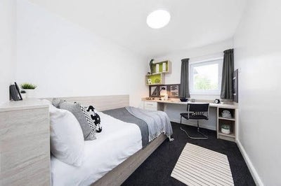 Summer Tenancy Takeover- Cambrian Point Main Photo