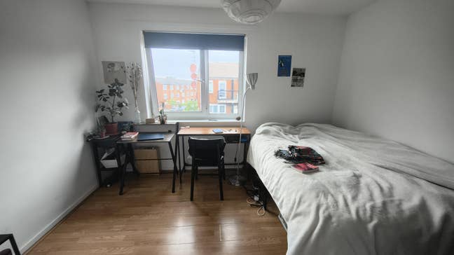 Room available in Hackney in June Main Photo